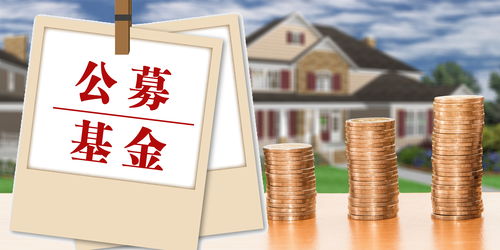 基金公司逆市布局 發(fā)起式產(chǎn)品傳遞市場(chǎng)信心與專業(yè)服務(wù)價(jià)值